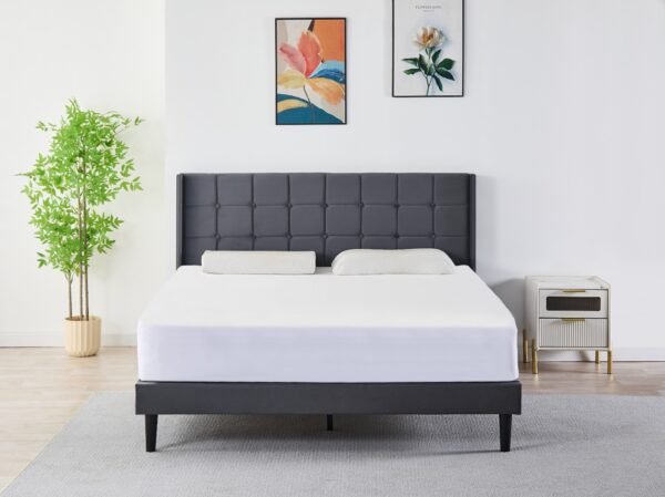 6230 BEAUTIFUL BLACK VELVET